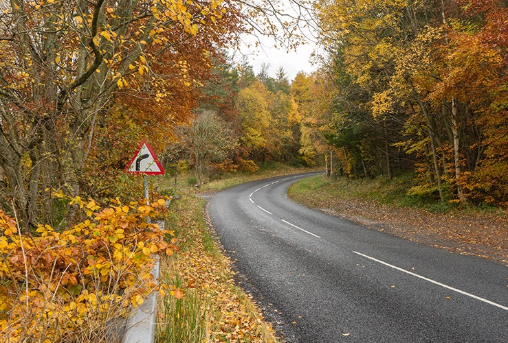 Autumn country road