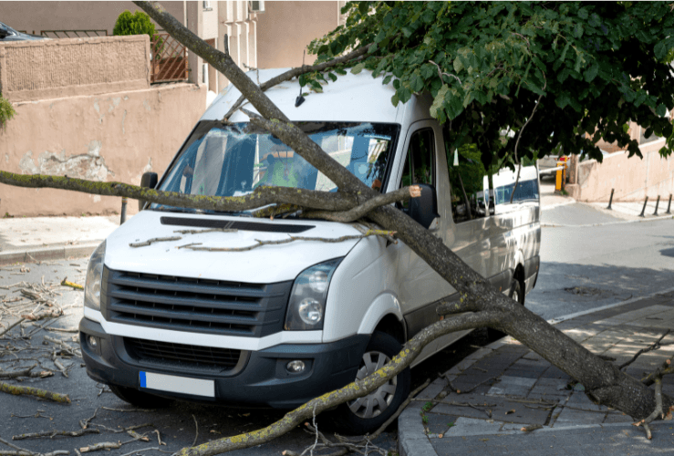 Understanding the basics of fleet insurance: A beginner's guide