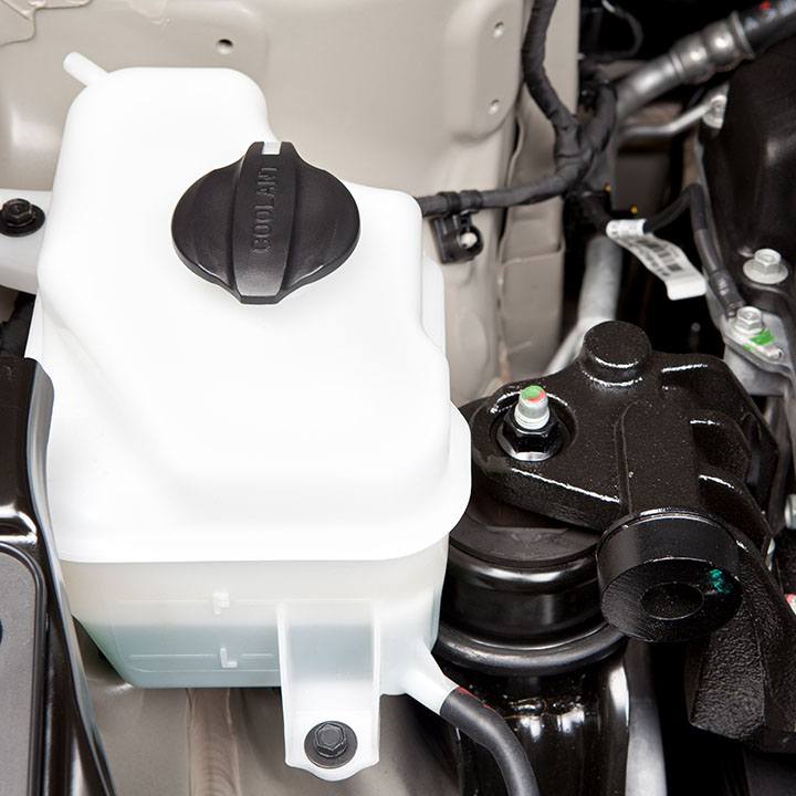 Where do you put antifreeze in your car?