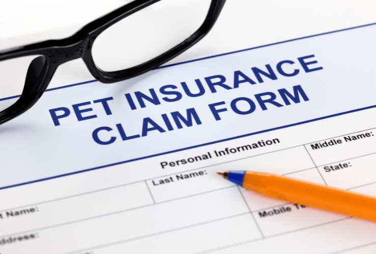 Pet insurance claim form