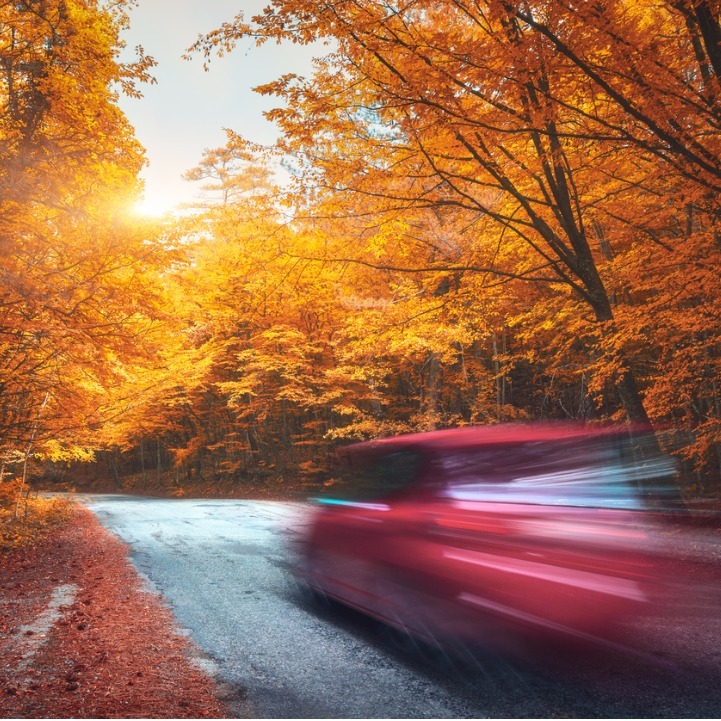 Autumn driving: how to stay safe on the road